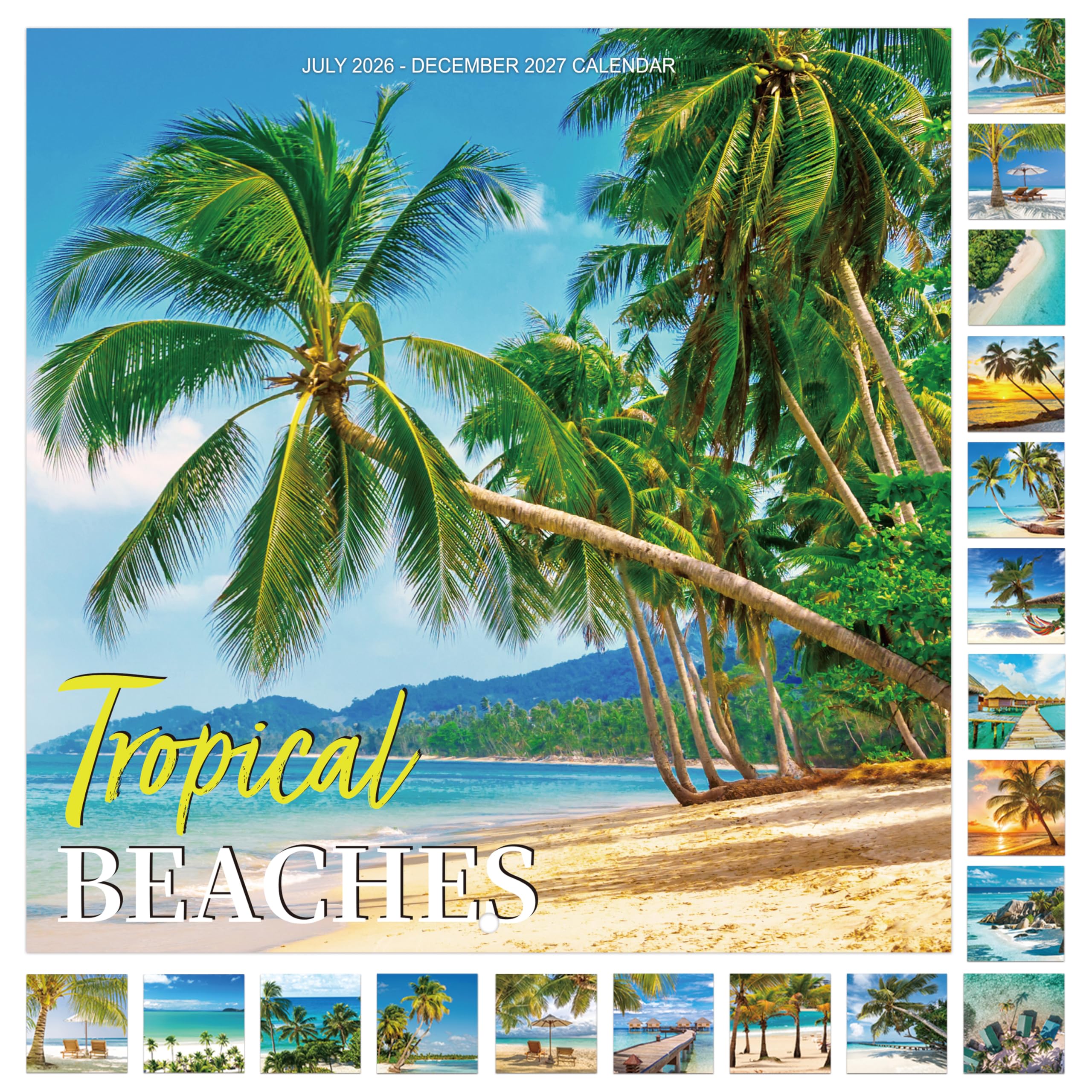 Calendar 2026-2027 - 18 Months Wall Calendar 2026-2027, Jul.2026 - Dec.2027, 12" x 24" (Open), 26-27 Wall Calendar with Unruled Blocks - Coconut Tree