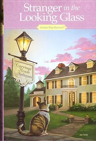 Stranger in the looking glass