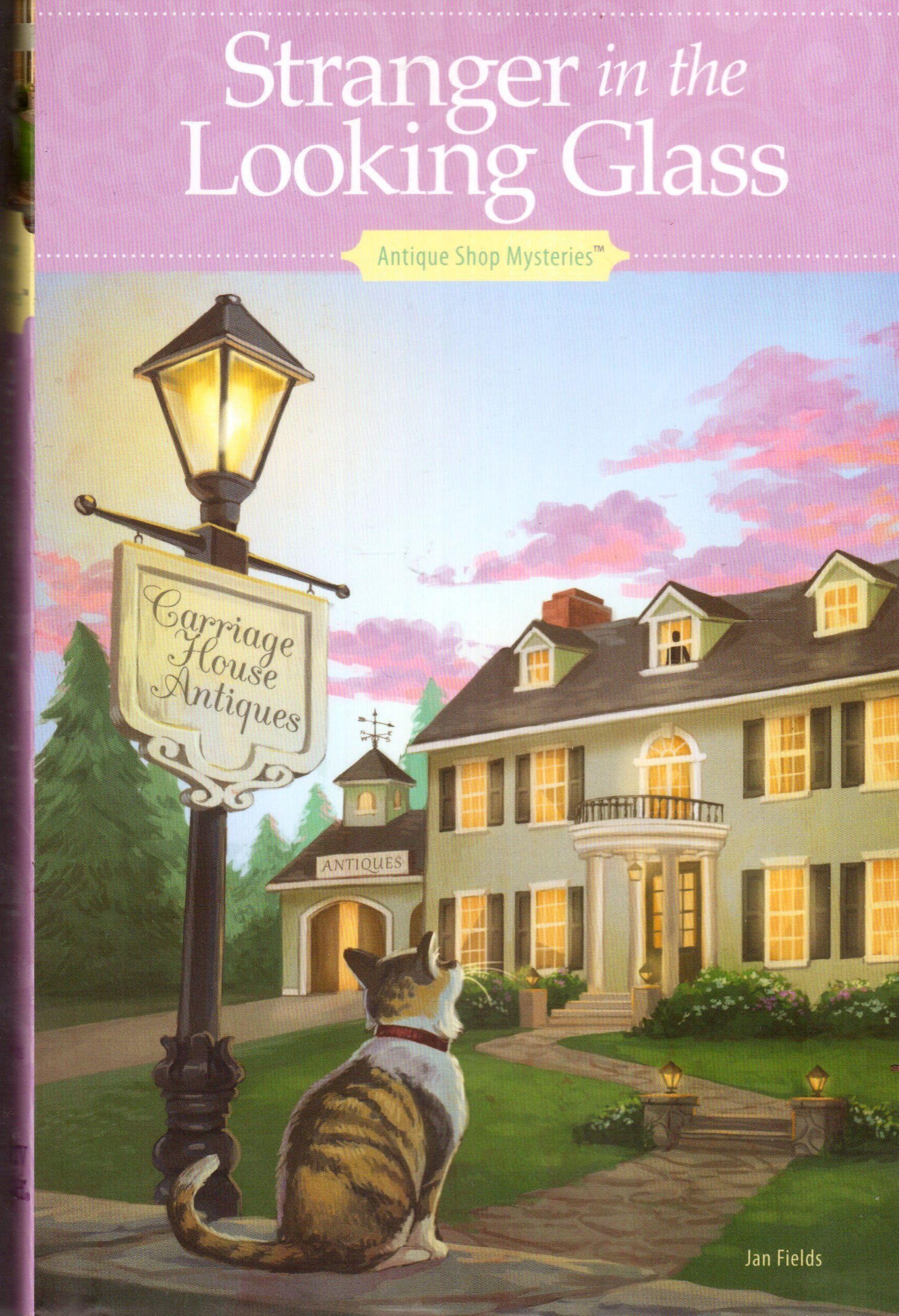 Cover of Stranger in the Looking Glass