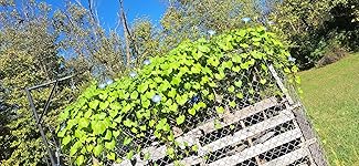 Review Image by Jennifer Mulryan Jennifer Mulryan