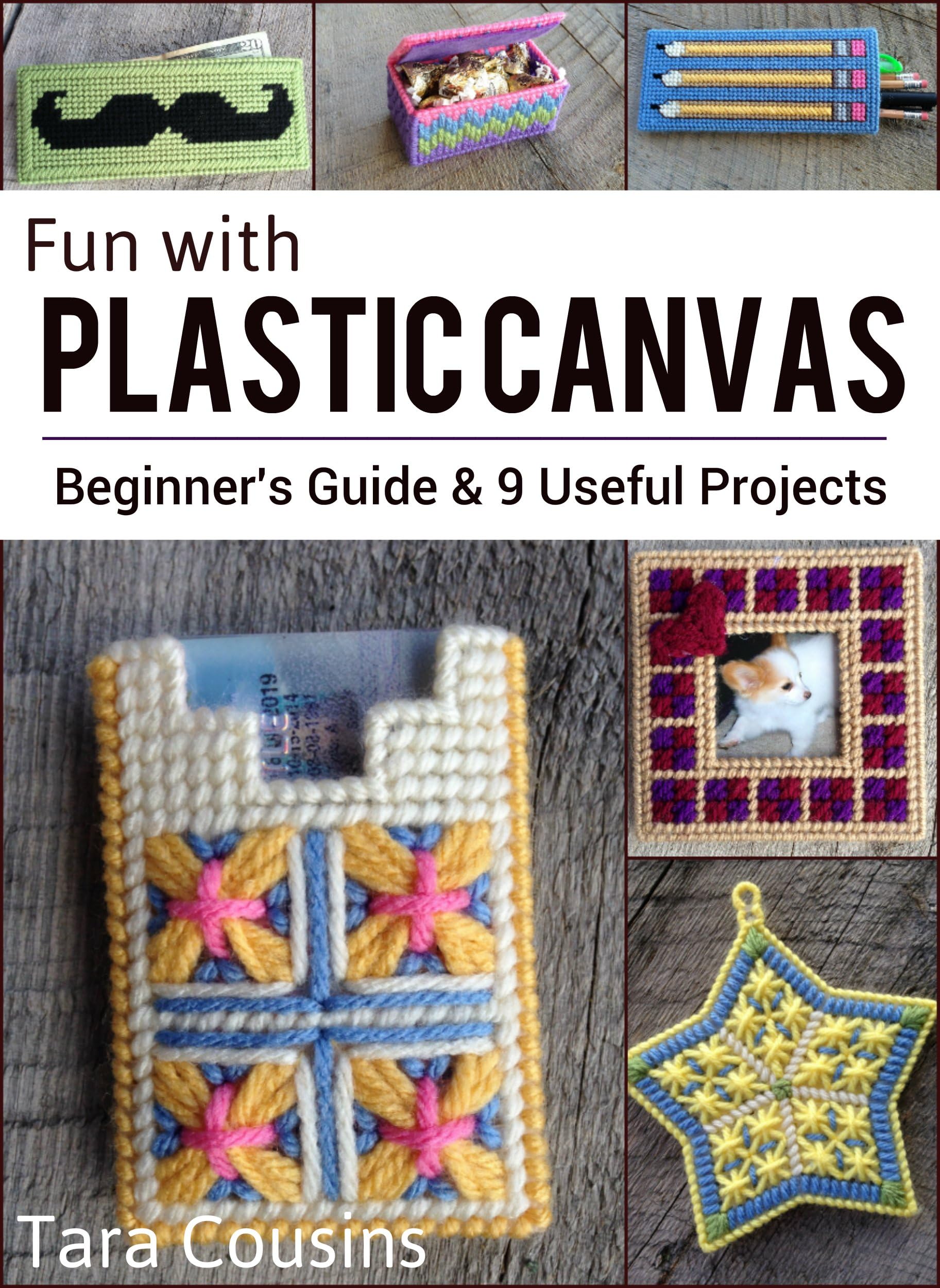 Fun with Plastic Canvas: Beginner's Guide & 9 Useful Projects (Tiger Road Crafts) Kindle Edition