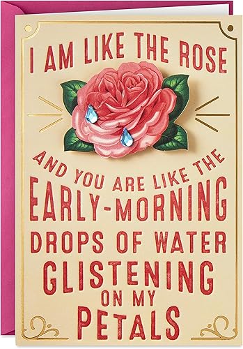 Hallmark Shoebox - Tarjeta de felicitación para el día de San Valentín