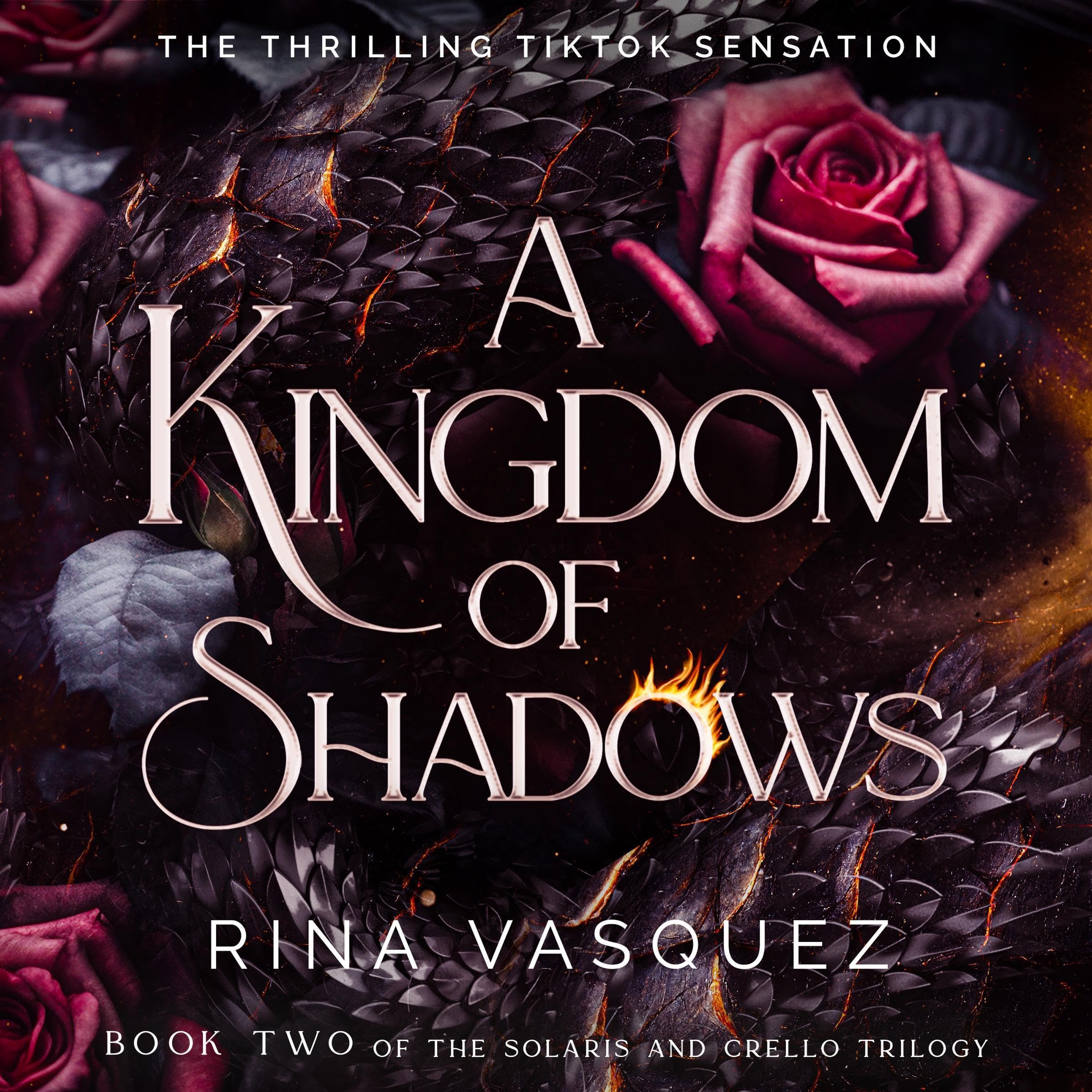 Cover art for A Kingdom of Shadows