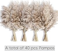 Vista 3 de 40 piezas de decoración de ramo de hierba de pampa natural, flores y plumas bohemias para centros de mesa, perfecto para rellenos de jarrones
