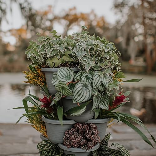 Miniatura 8 de Maceta apilable de fresa de 5 niveles, maceta vertical de diseño arquitectónico con riego, maceta de hierbas para plantas de fresa, lechuga,