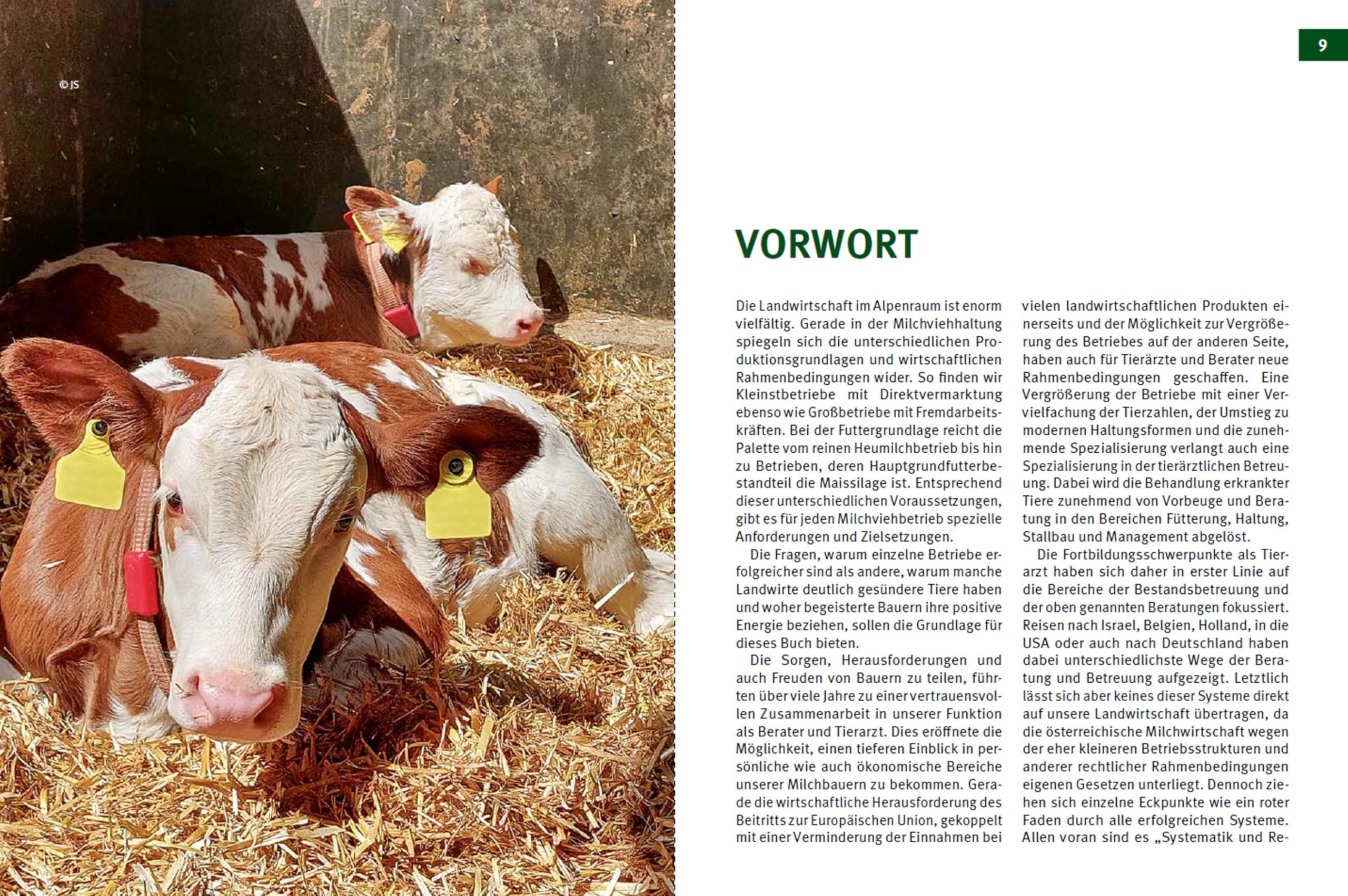 Fruchtbare Kühe - Gesunde Kälber: Management und Fütterung als Basis der leistungsbereiten Milchviehherde
