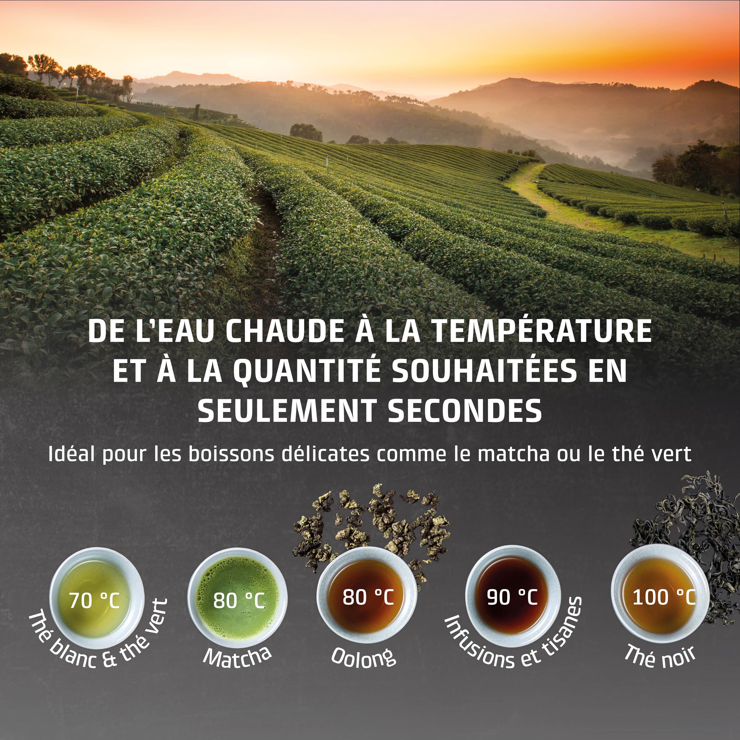 CASO HW 1660 Distributeur d'eau chaude - de l'eau chaude en quelques secondes, réservoir d'eau amovible de 4 litres, de 40 à 100°C, Idéal pour les familles et les restaurateurs