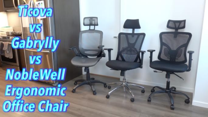 Amazon.com: Ticova Ergonomic Office Chair - High Back Desk