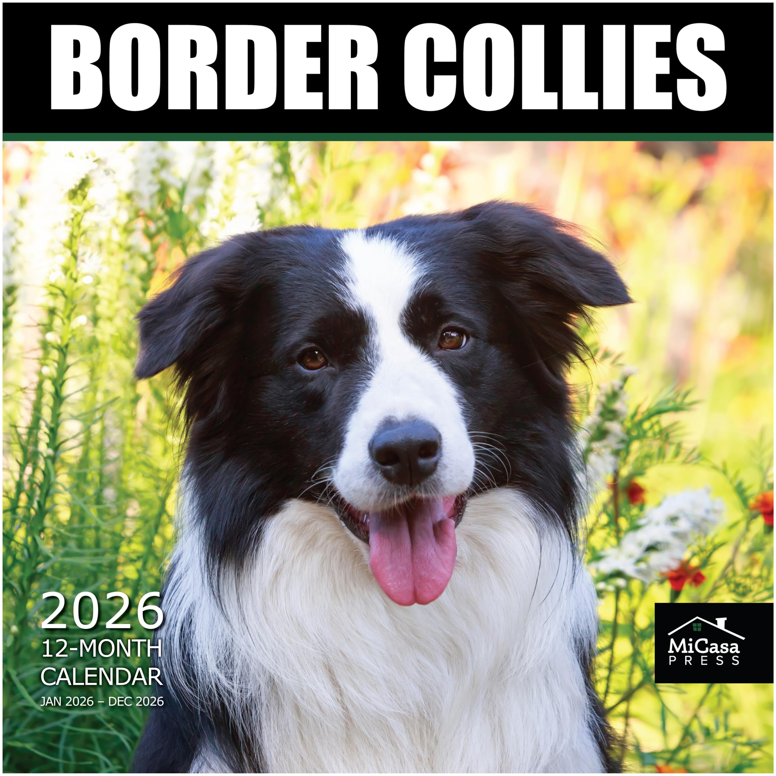 MICASA PRESS Border Collies 2026 Wall Calendar 12 Month | 12" x 24" Open | Thick &amp; Sturdy Paper | Giftable | Cute Puppy Dog Calendar 2026