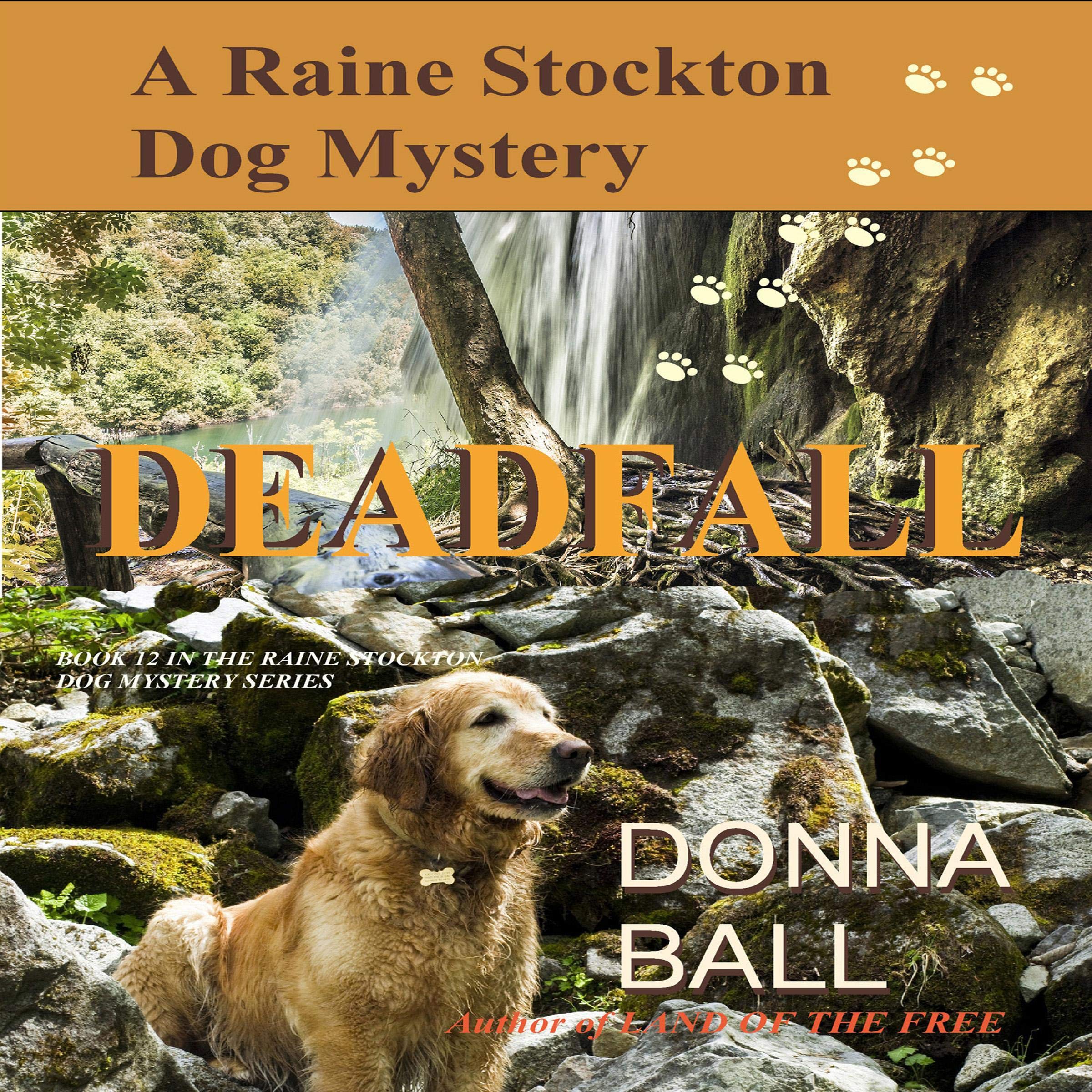 Cover art for Deadfall