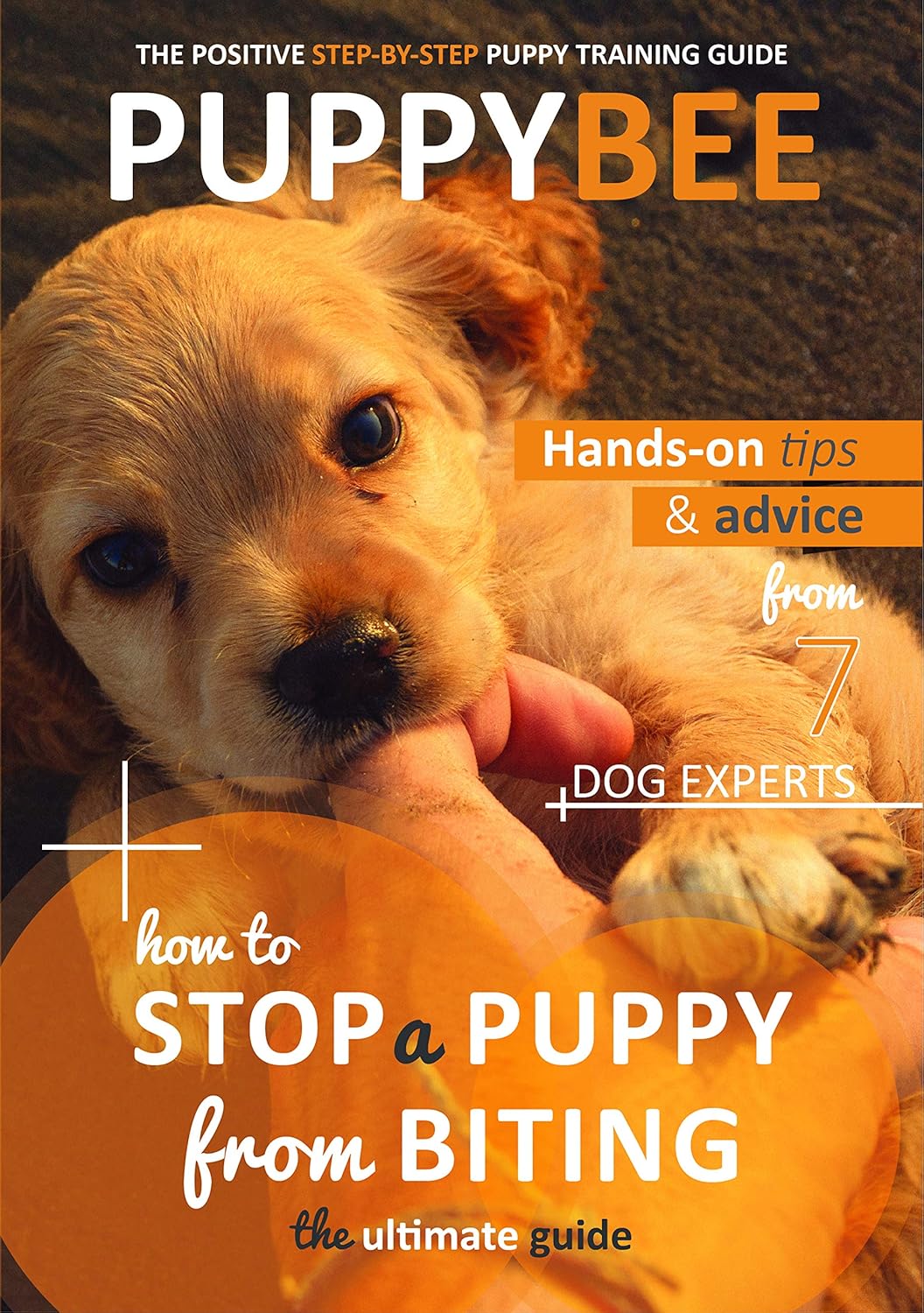 How to Stop a Puppy from Biting The Ultimate Guide Handon tips and