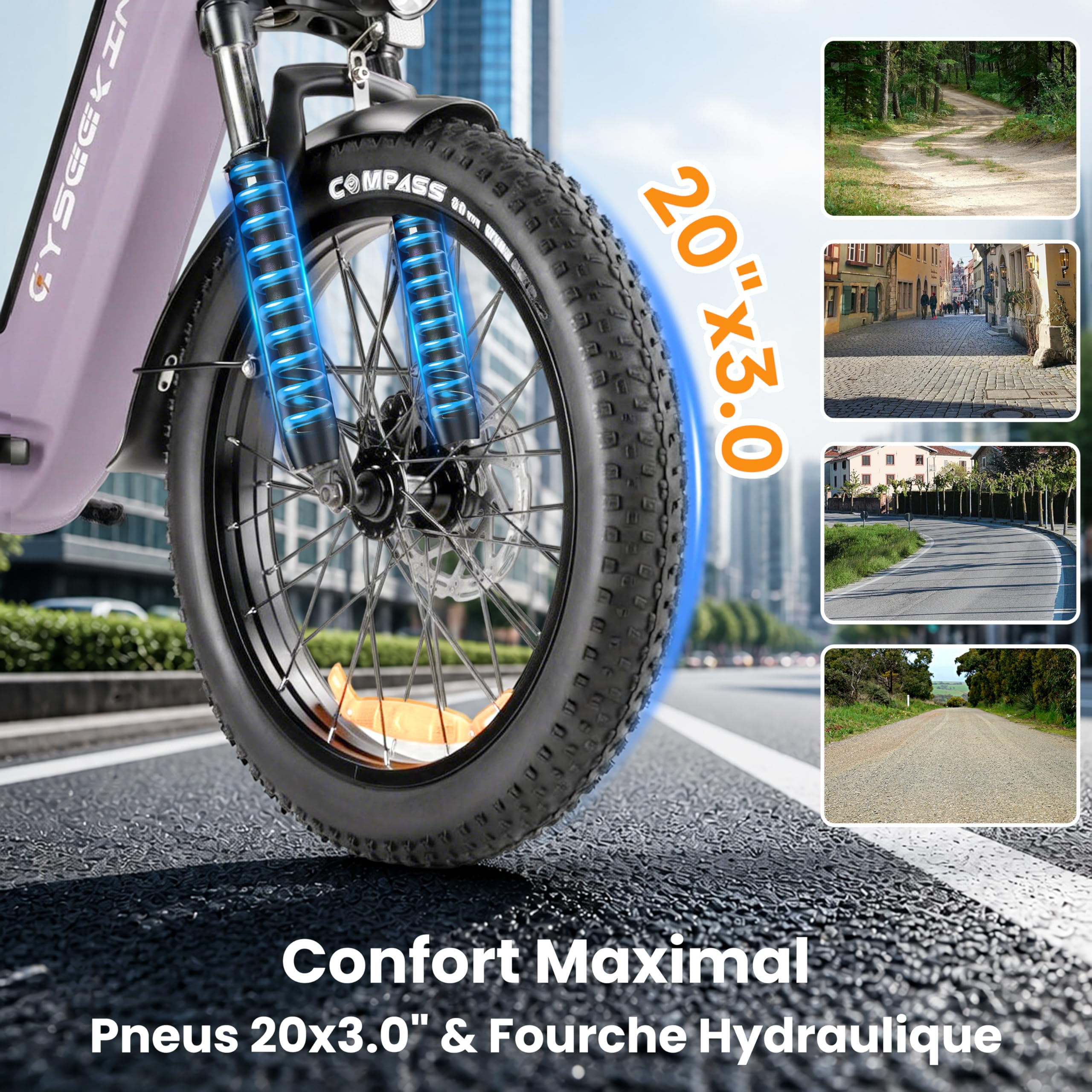 C20 E Bike Vélo Pliant 20 x 3,0 avec Freins hydrauliques, Batterie 48 V 15,6 Ah jusqu'à 120 km, Moteur 250 W 25 km/h, écran Couleur LCD 7 Vitesses pour Homme et Femme (Violet)