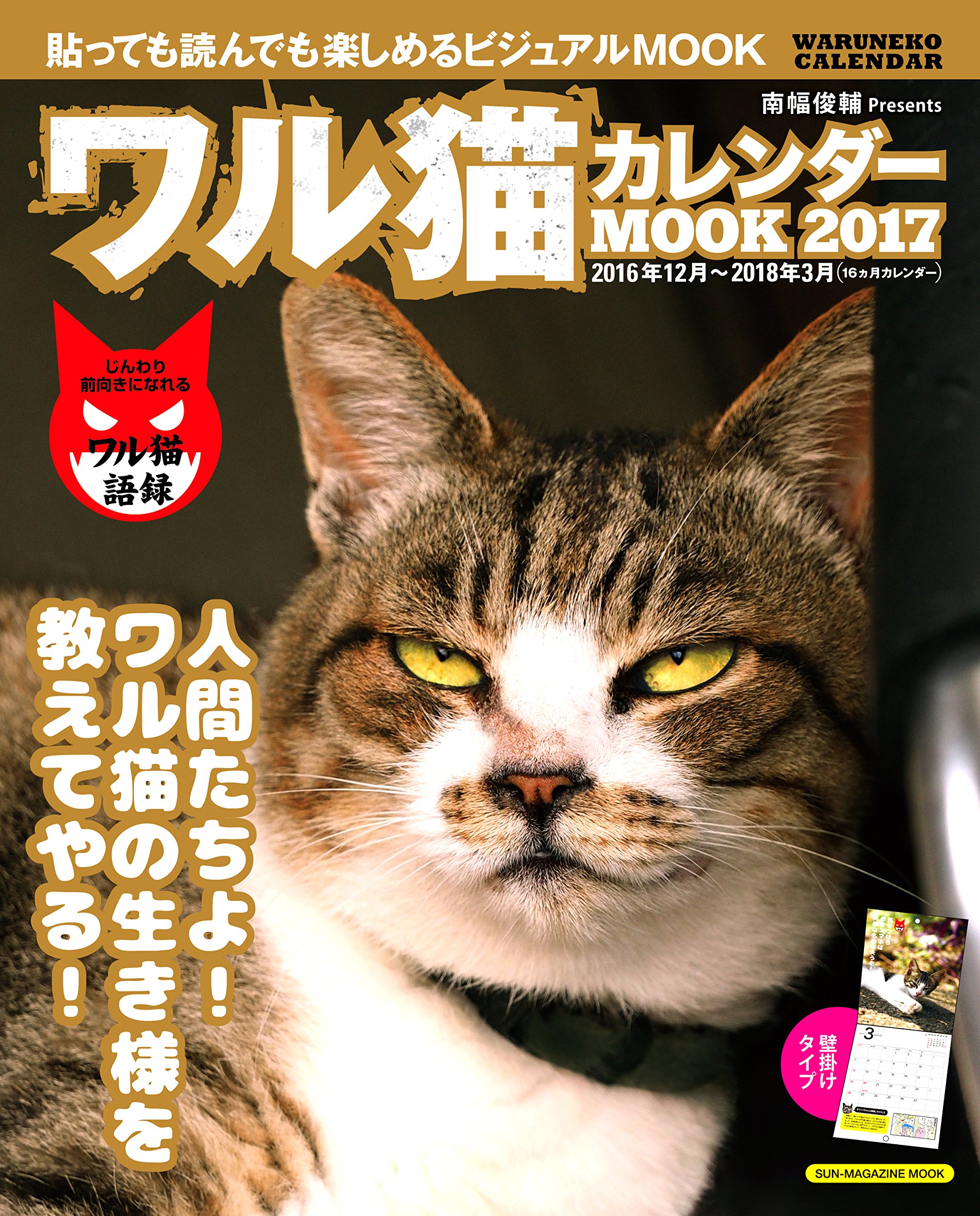 ワル猫カレンダーmook17 Sun Magazine Mook 南幅 俊輔 本 通販 Amazon