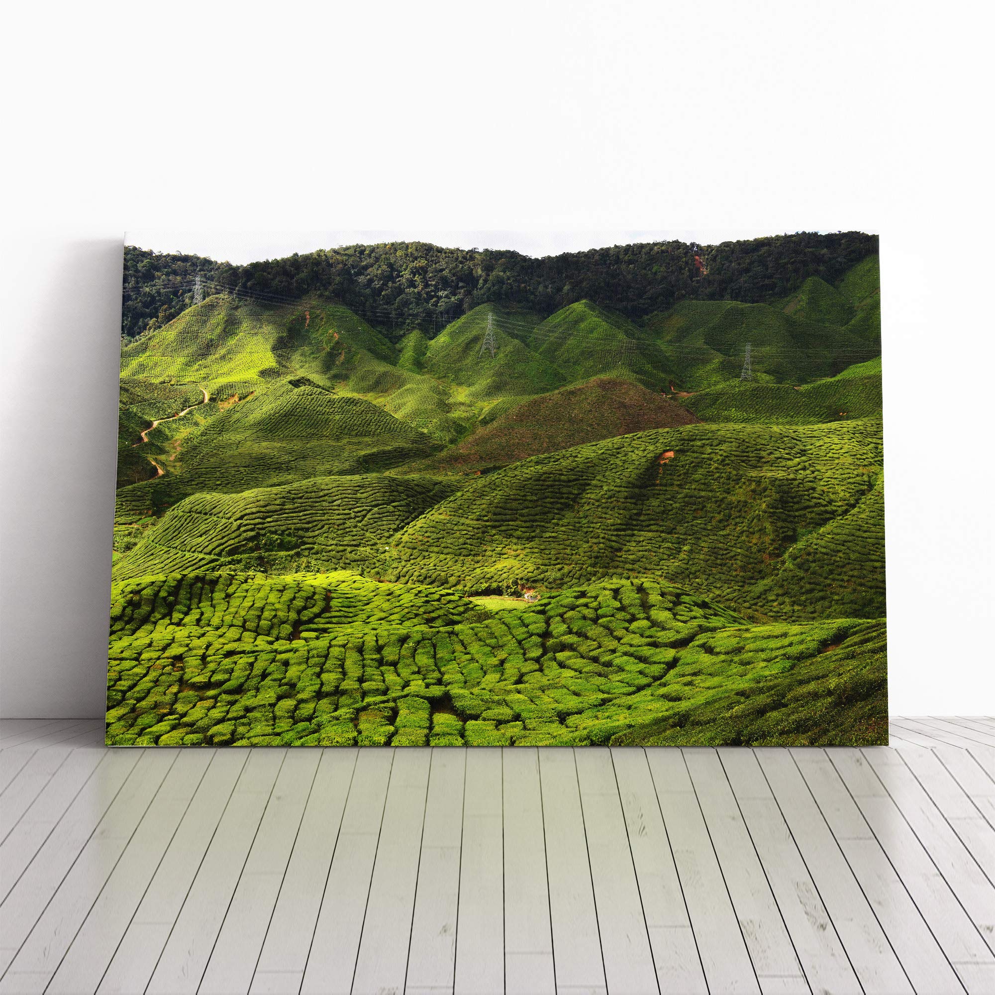 Landscape Malaysia Canvas Print | Gallery Wrapped 30mm Frame Wall Art | 24x16 inches | Ready to Hang | Modern Landscape Picture | Living Room Bedroom Lounge Office