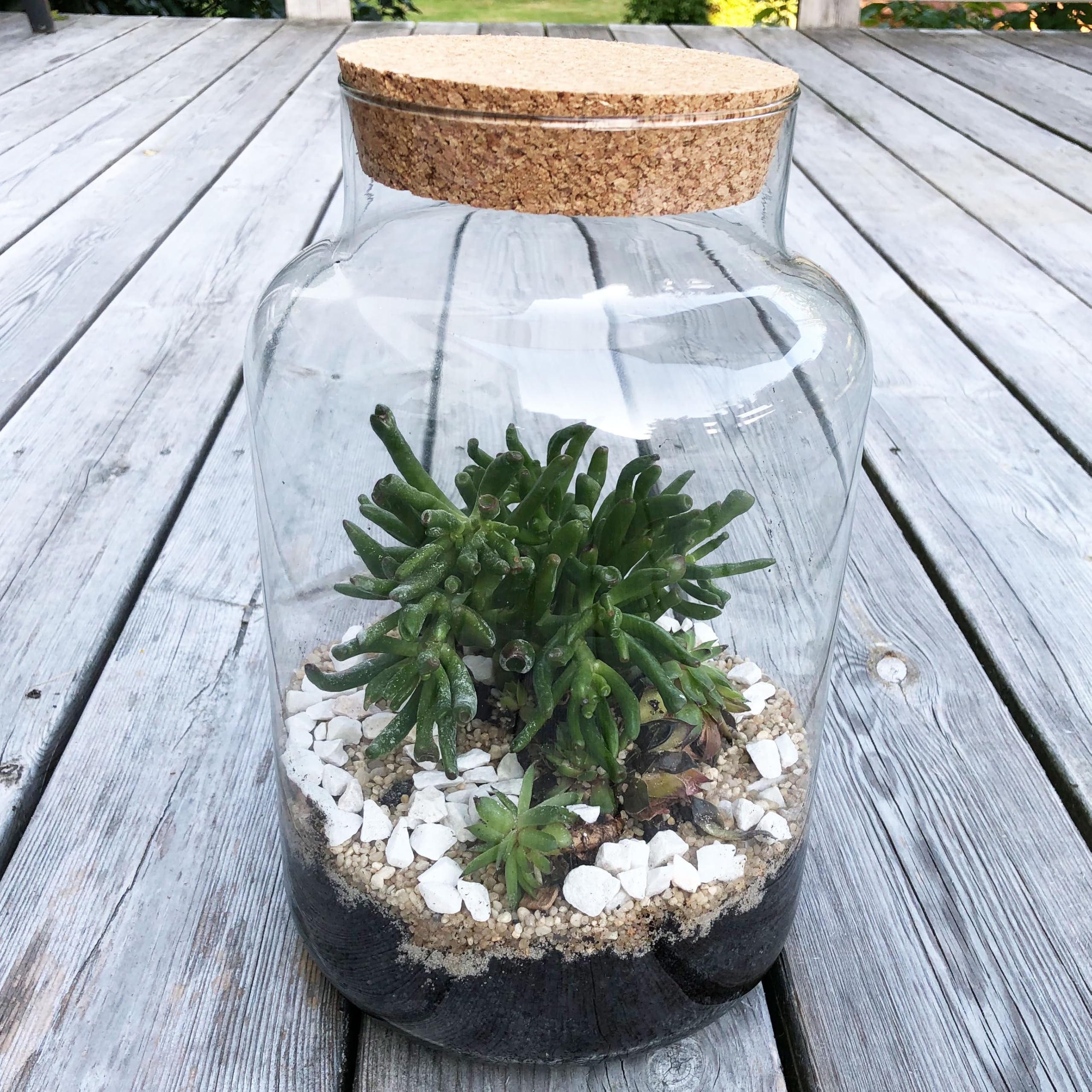 Annastore XXL Pflanzenterrarium inklusive allem - Nur noch Pflanze dazu -Terrarium - Fertig H 30 cm/H 18 / oder H 20- Pflanzterrarium Pflanzenglas - Flaschengarten (H 30 cm Ø 19 cm + Korken)