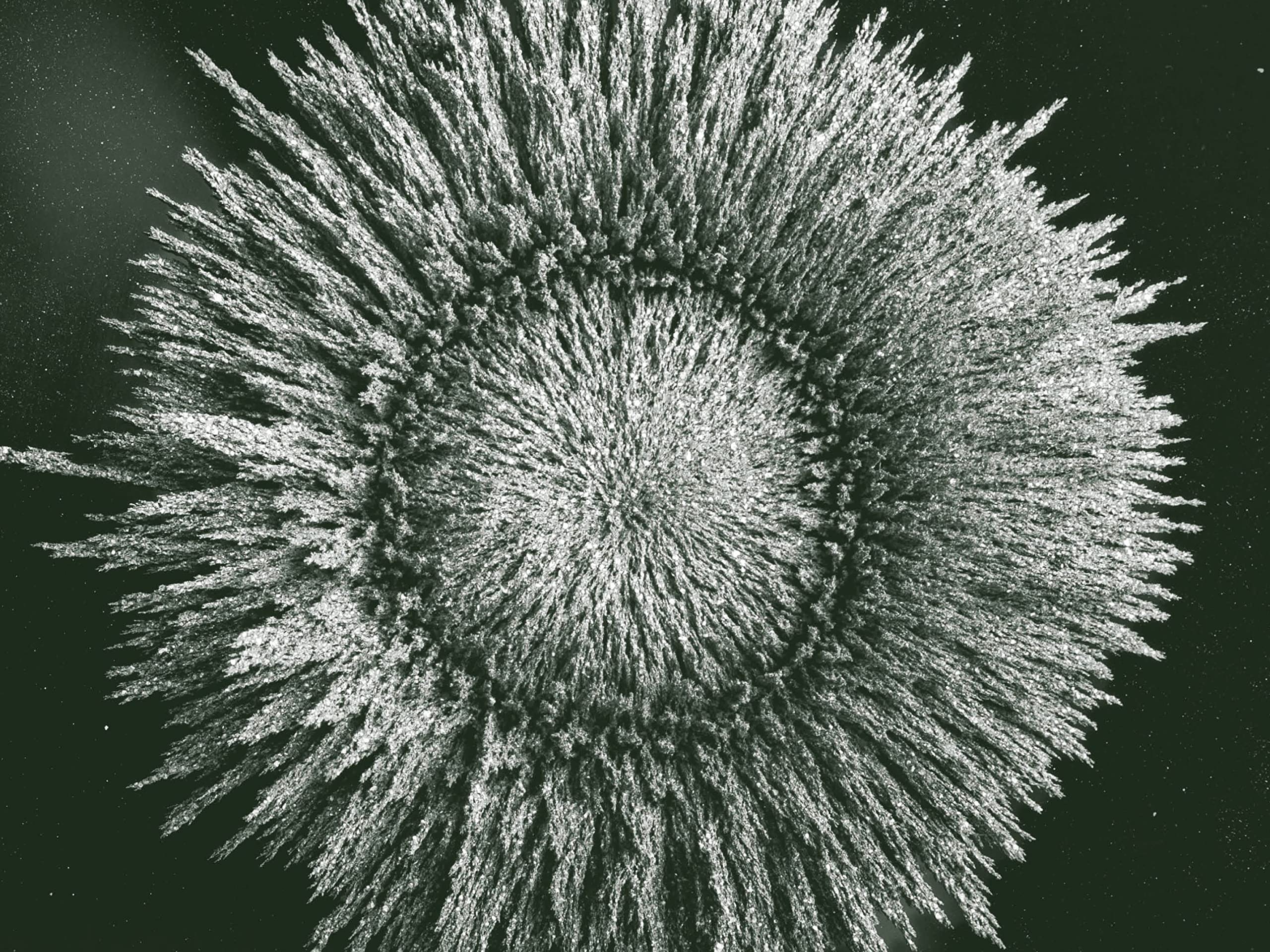 Louis-Étienne Santais