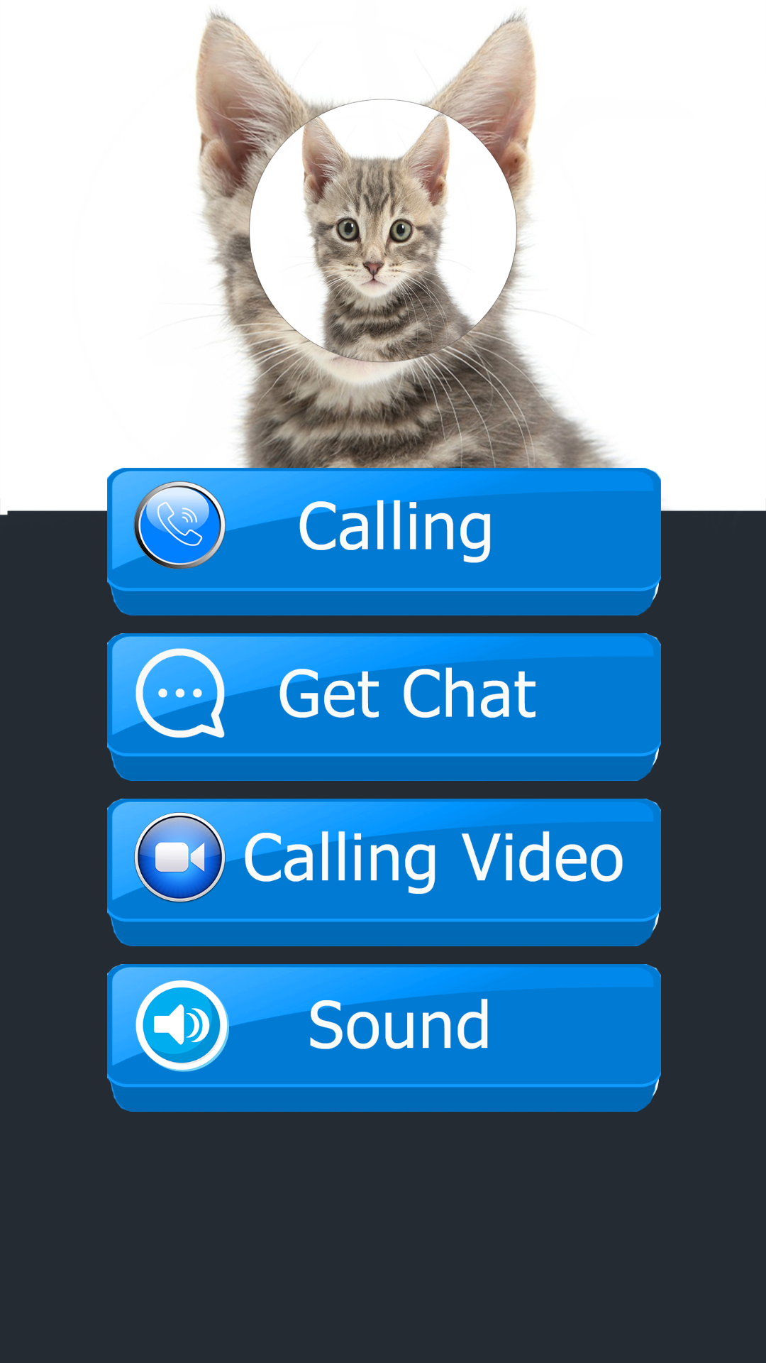 Incoming Call From Cat - Free Fake Simulator Id Pro - App on Amazon ...