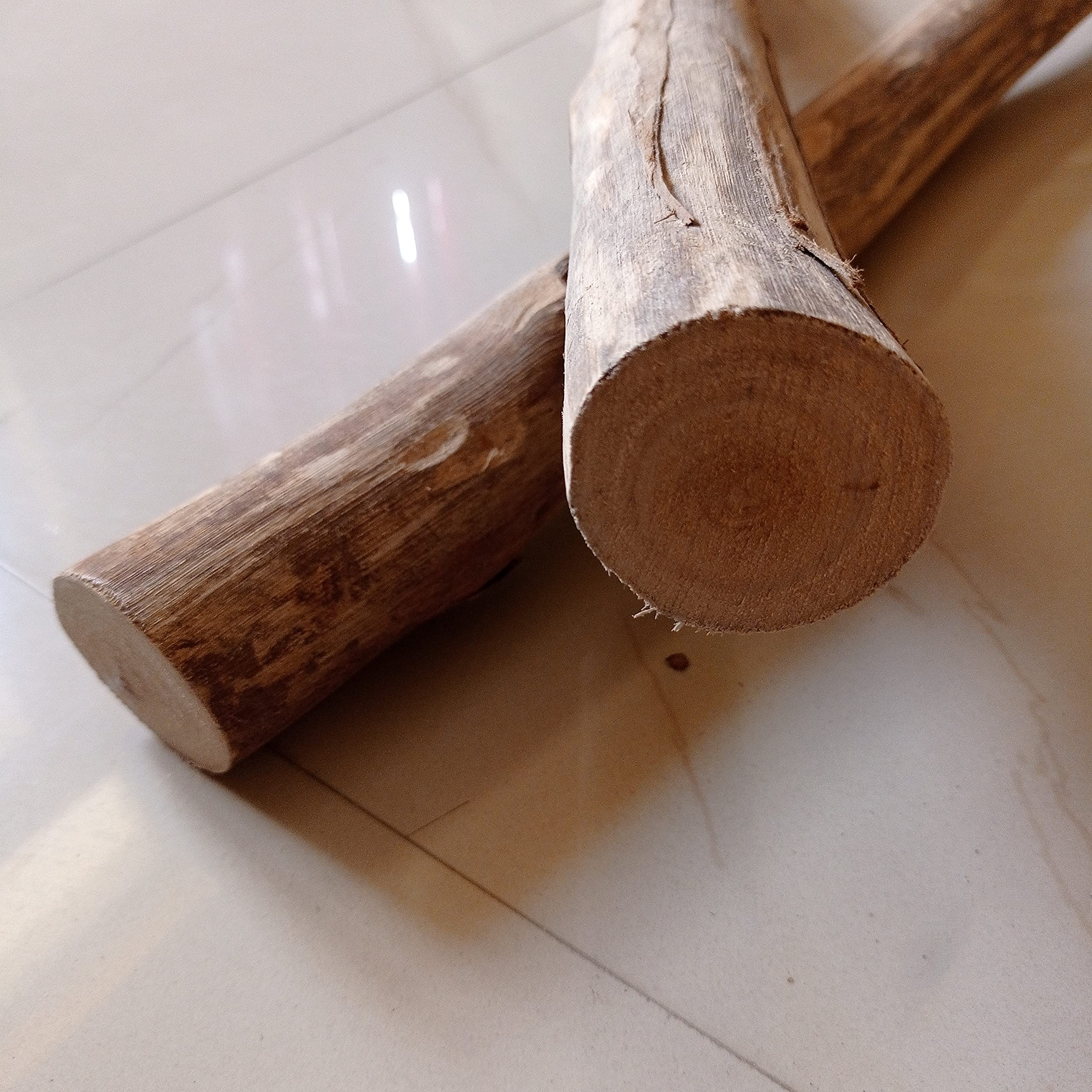 Mango Wooden Logs/Dowel | Raw Finish | Unfinished Wooden Log for Wall Hanging and Art & Craft | Set of 2 | DIY Project Mateial | Diameter: 48-50 mm | with and Without Hole (Without Hole, 12)