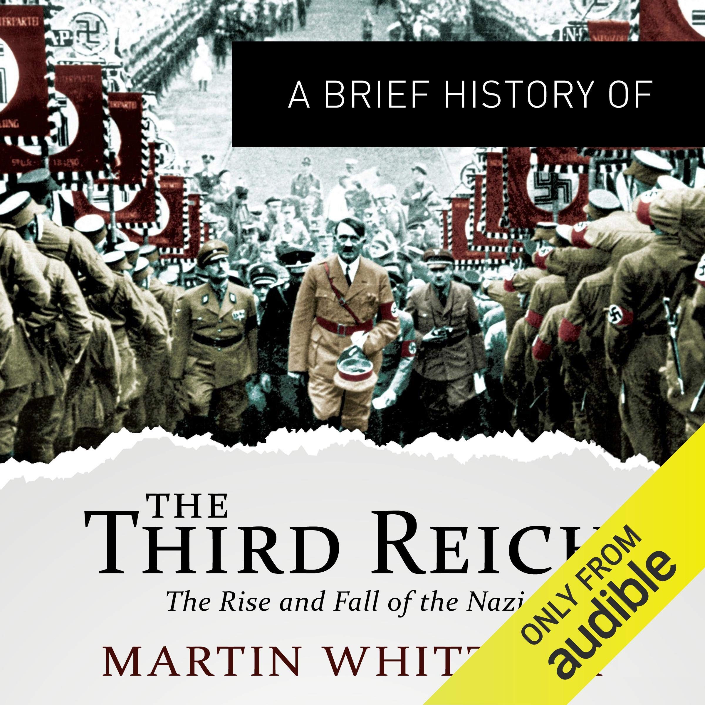 Cover art for A Brief History of the Third Reich: The Rise and Fall of the Nazis