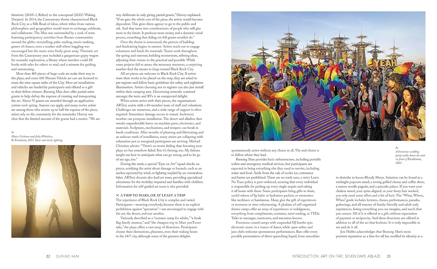 Burning Man: Art on Fire: Revised and Updated Edition