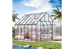 CDCASA 12 x 10 FT Greenhouse: Your Green Oasis for Outdoor Gardening