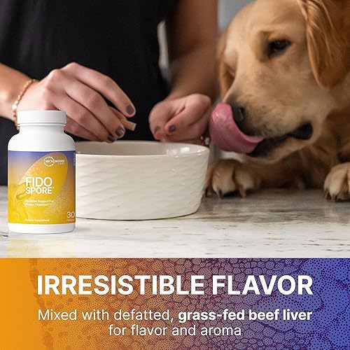 Miniatura 4 de Microbiome Labs FidoSpore - Suplemento digestivo para perros y gatos, probiótico a base de esporas de Bacillus Subtilis para apoyar la digestión y