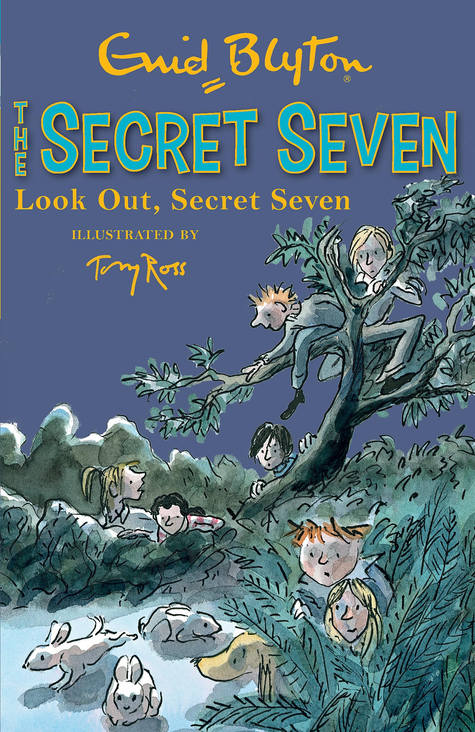 Look Out, Secret Seven: Book 14