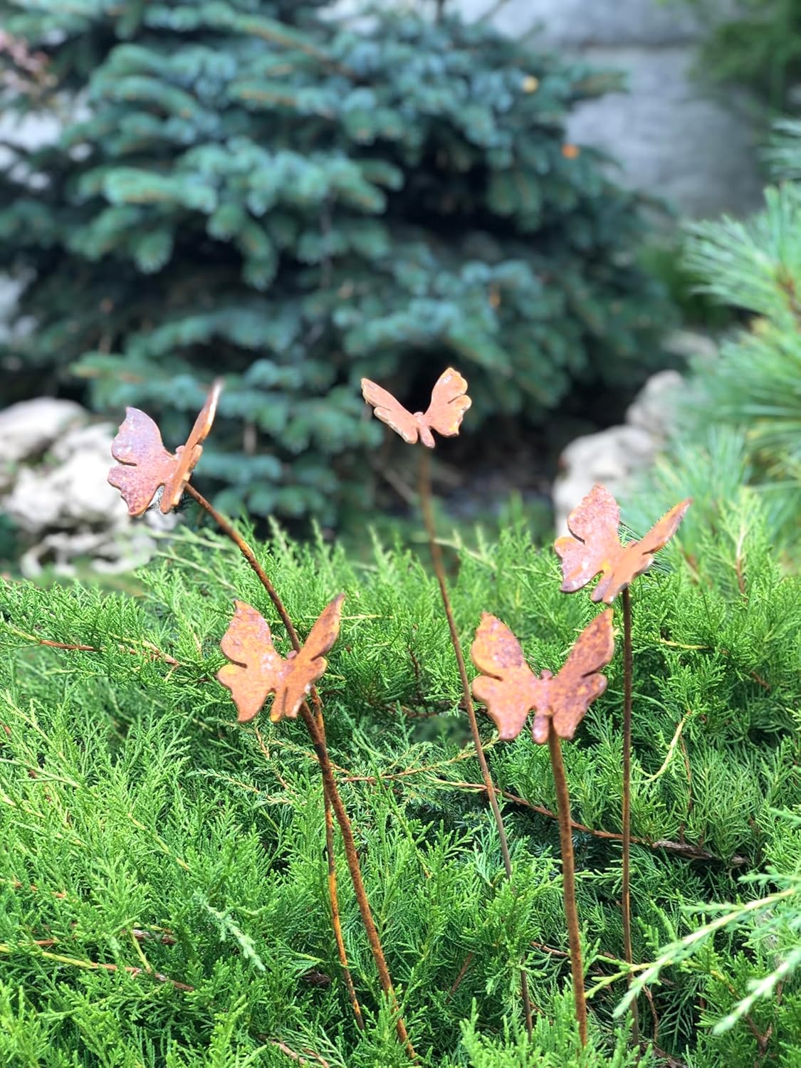 Rusty Butterflies Set of 5, 5 Rusty Butterflies Garden Stakes, Yard Art, Outdoor Metal Decor