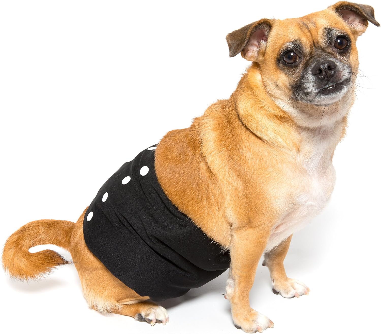 Brooke's Best Belly Bands for Male Dogs Washable- 2 Pack (Small, Black/Brown)