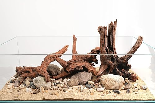 LANDEN Panna Madera de Deriva Natural para Decoración de Acuario para Peces de Agua Dulce (30-40 cm, 12-16 pulgadas) 4 piezas Terrarios Vivarios