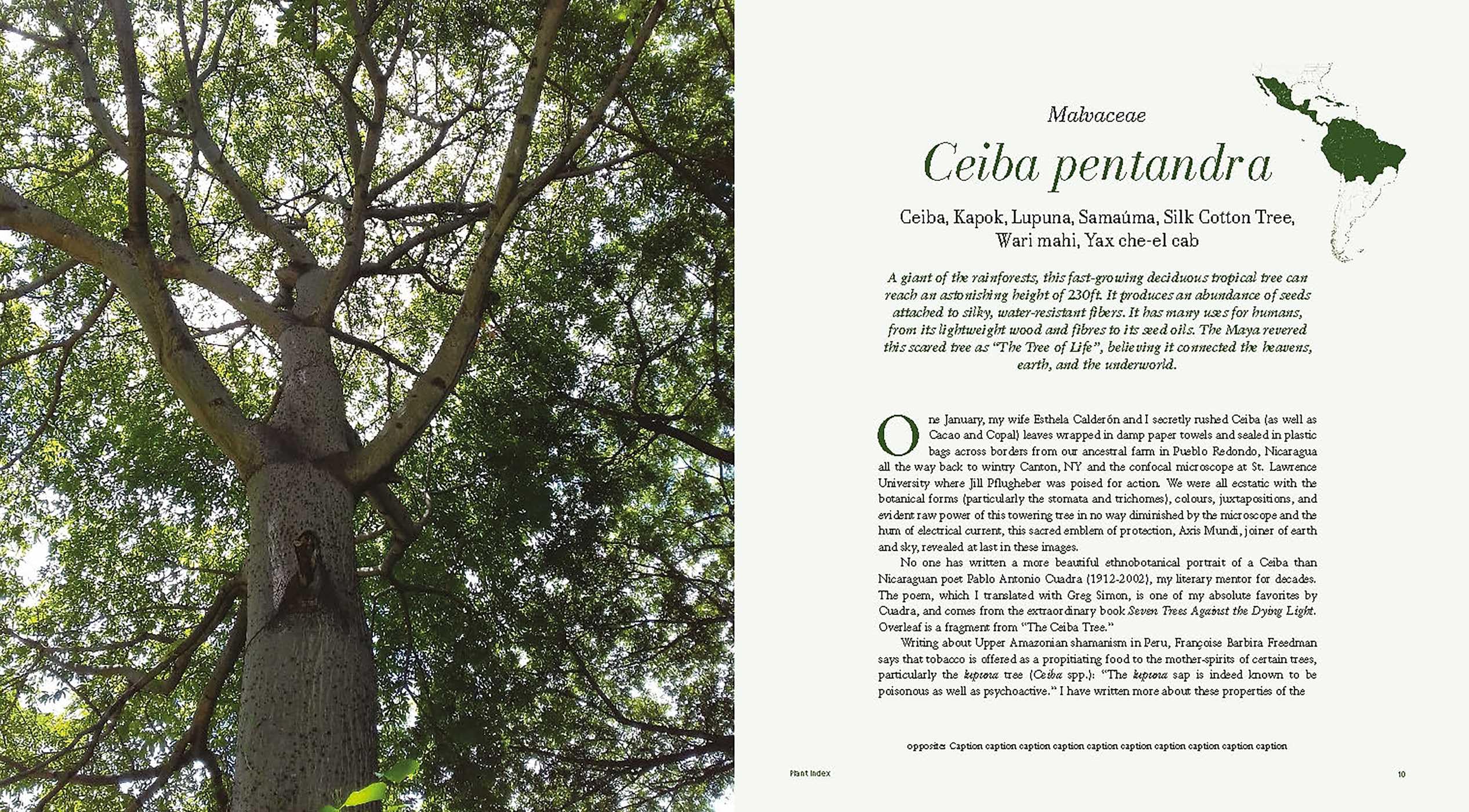 Microcosms: Sacred Plants of the Americas
