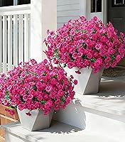 Ivydale 24 Bundles UV Resistant Artificial Morning Glory Flowers with Eucalyptus - Realistic Faux Silk Outdoor Plants for Porch Patio Garden Decor