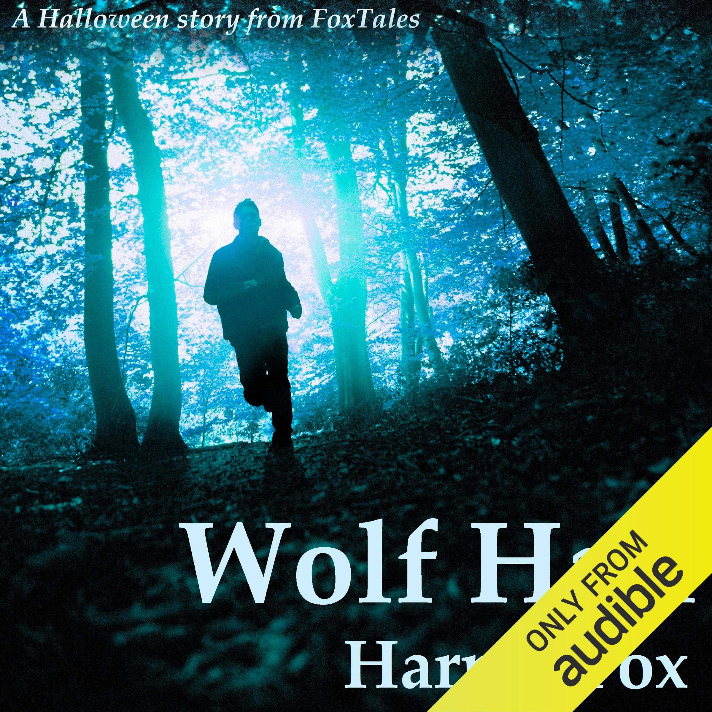 Cover art for Wolf Hall