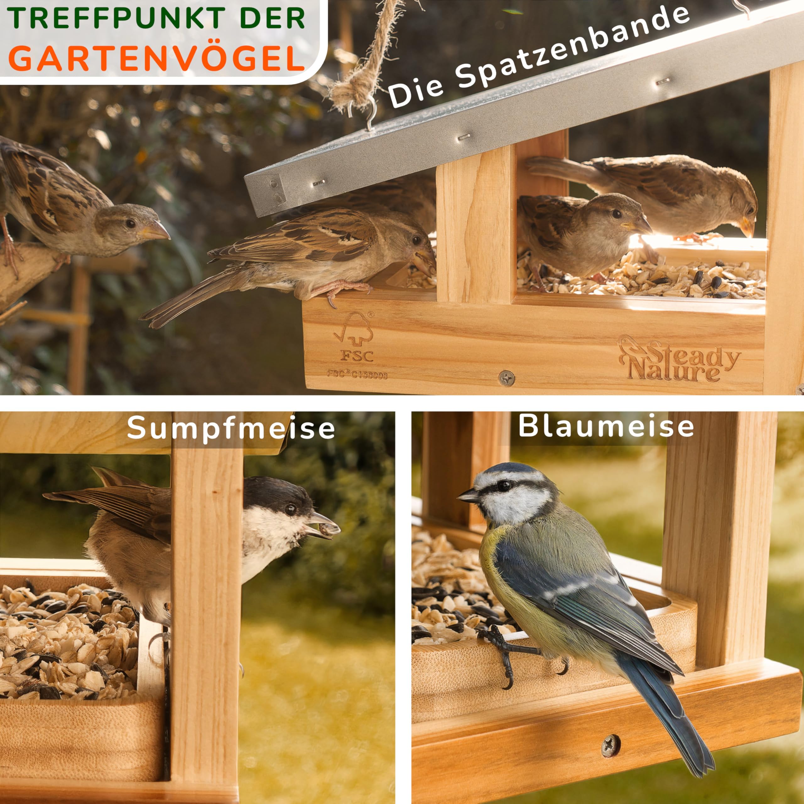 Steady Nature Vogelhaus zum Aufhängen mit Futterschale - Vogelfutterhaus Holz I Futterhaus für Vögel - Vogelhäuser für draußen - Bird Feeder Vogelfutterhäuschen Futtervogelhaus Vogelhäuschen kaufen