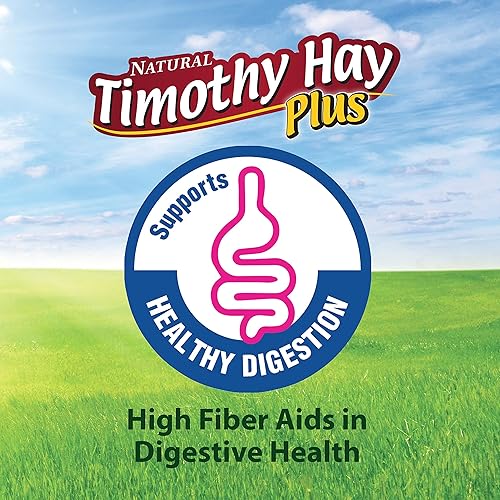 Miniatura 9 de Kaytee Heno Timothy Plus Caléndulas naturales para conejillos de indias conejos y otros animales pequeños