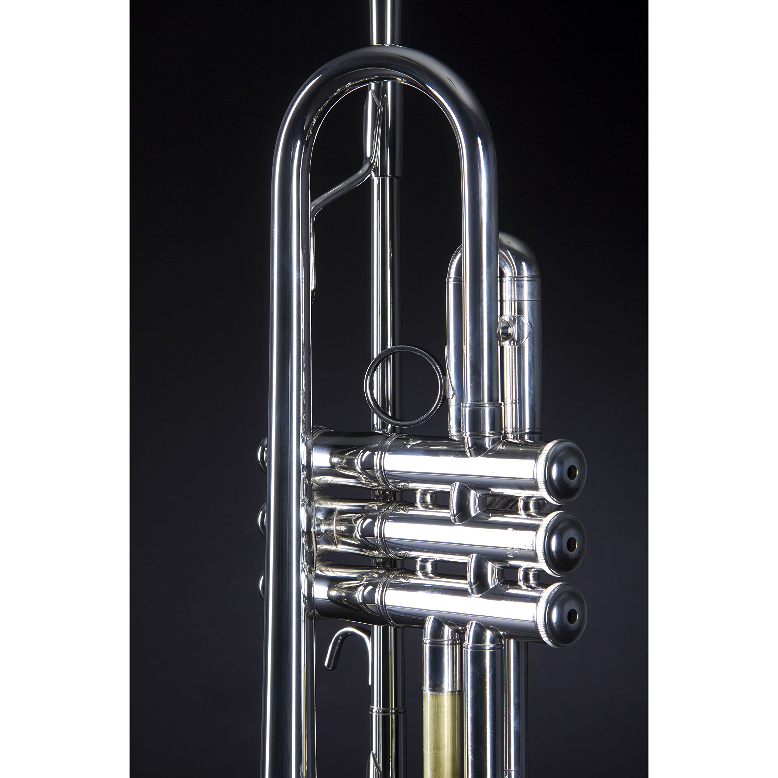 Amazon.com: Yamaha YTR-8335IIRS Xeno Professional Bb Trumpet