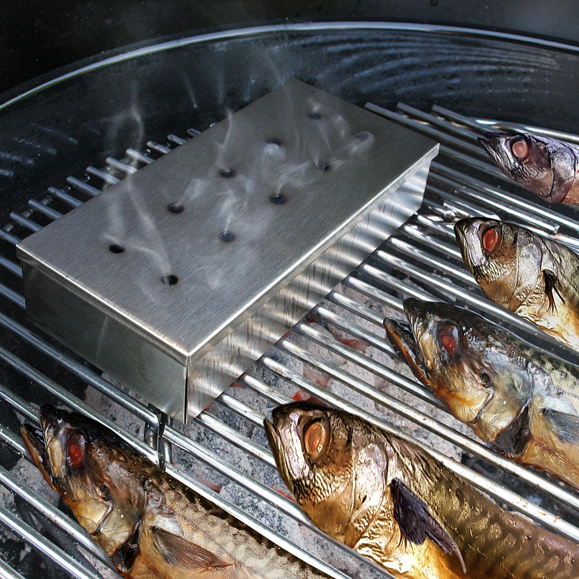 Boîte à Fumage En Acier Inoxydable Pour Barbecue à Gaz Et Au Charbon De