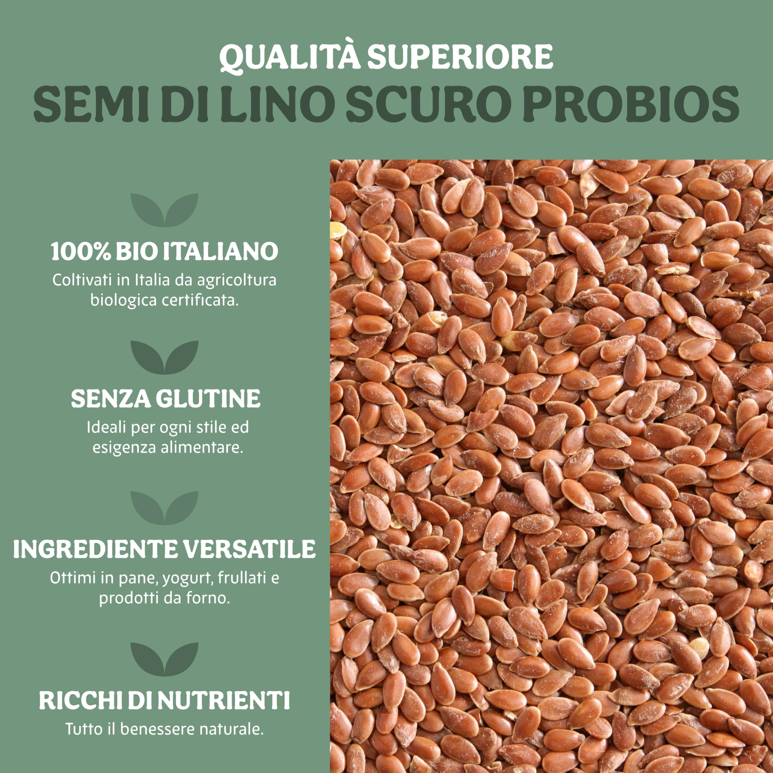 Probios Semi di Lino Scuri Biologici - Semi di Lino Bio Italiani Premium - Ricchi di Minerali e Fibre - Semi Naturali e Senza Glutine - Confezione da 5 Kg