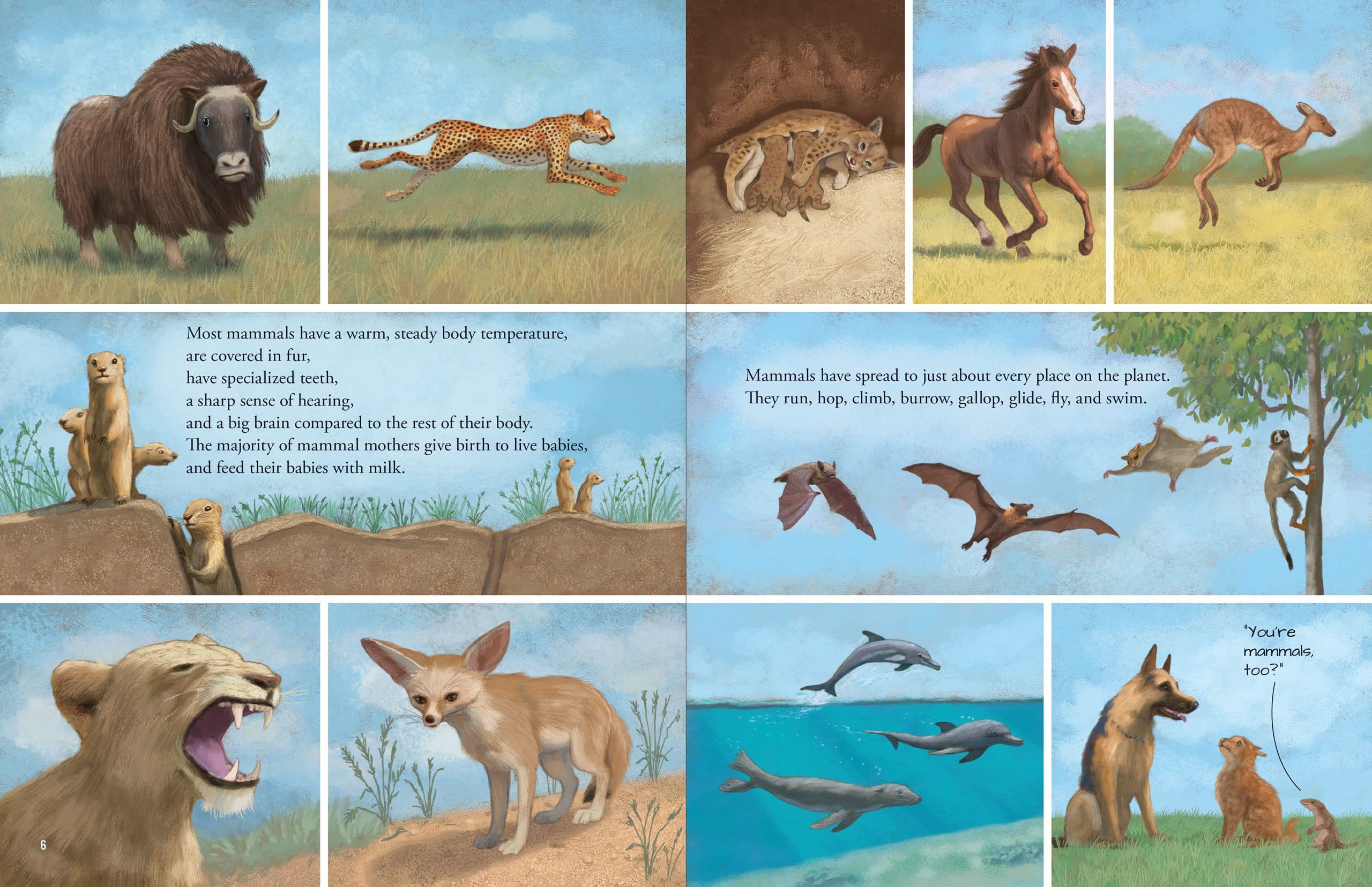 All the Mammals in the World - Image 3