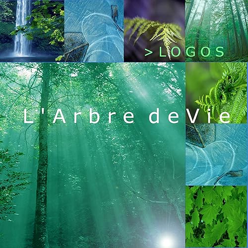 Foret Magique By Logos Stephen Sicard On Amazon Music Amazon Com