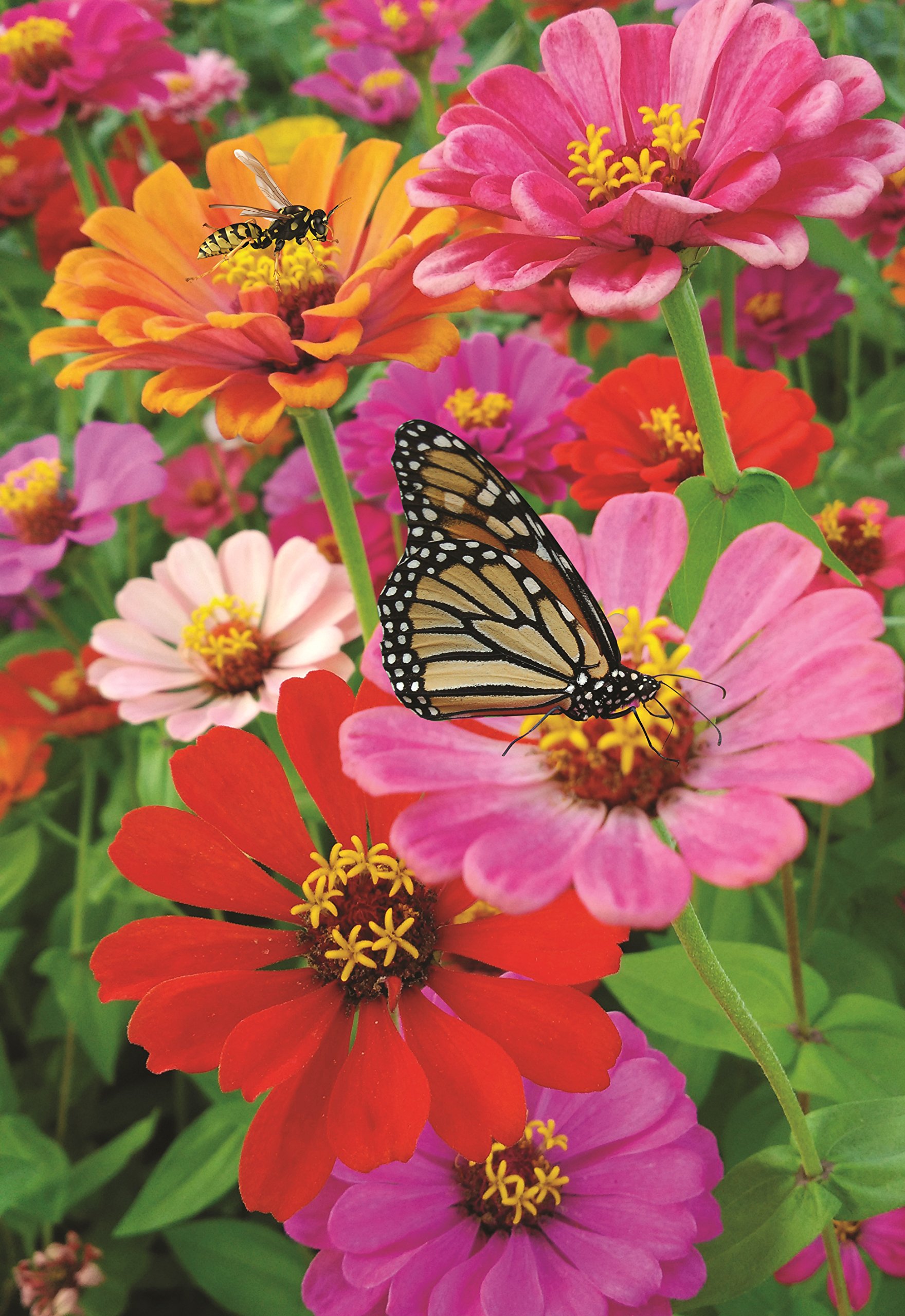 Decorative Zinnia Butterfly Honeybee Garden Flag Colorful Spring Summer Blooms Double Sided 12.5 X 18 Inch