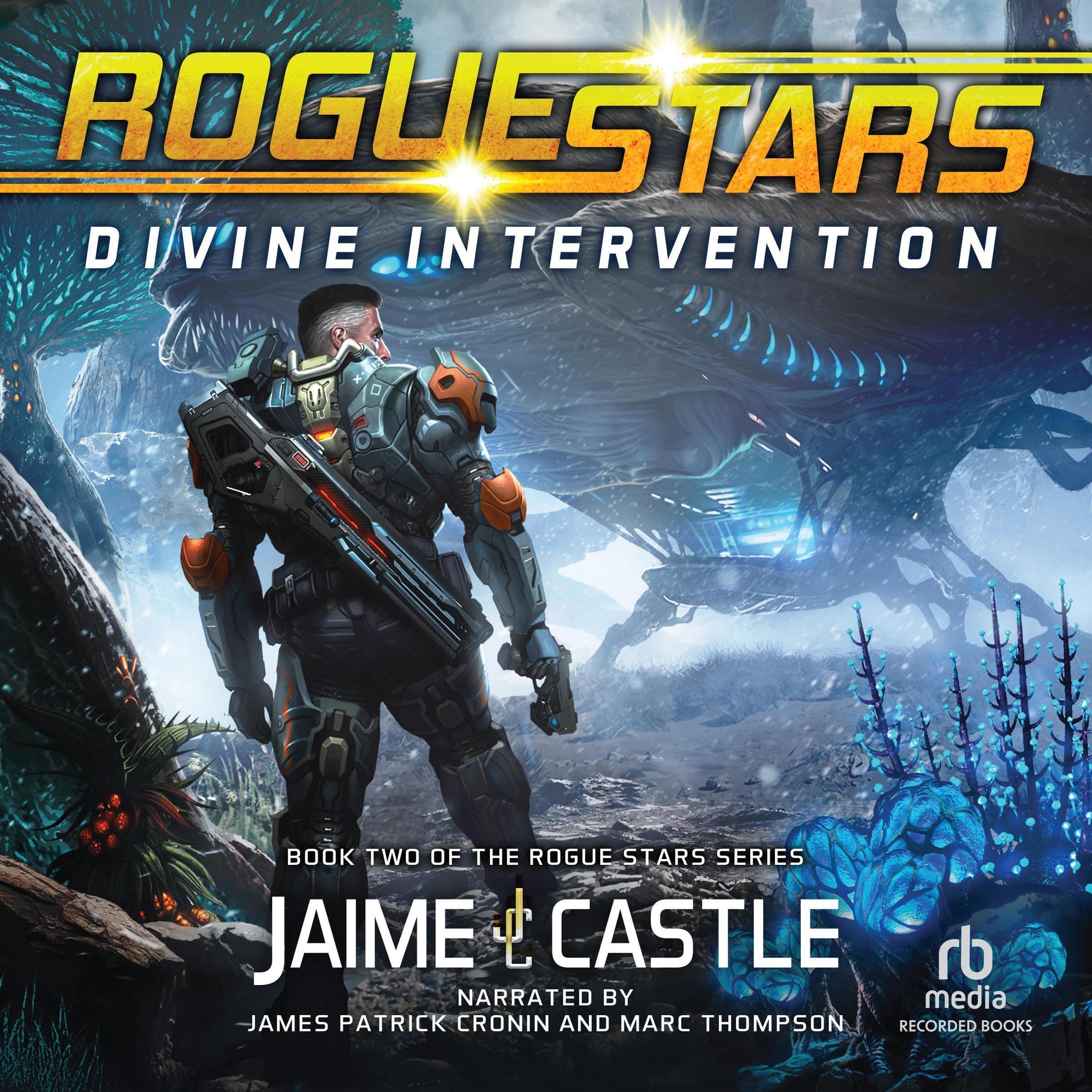 Cover art for Divine Intervention