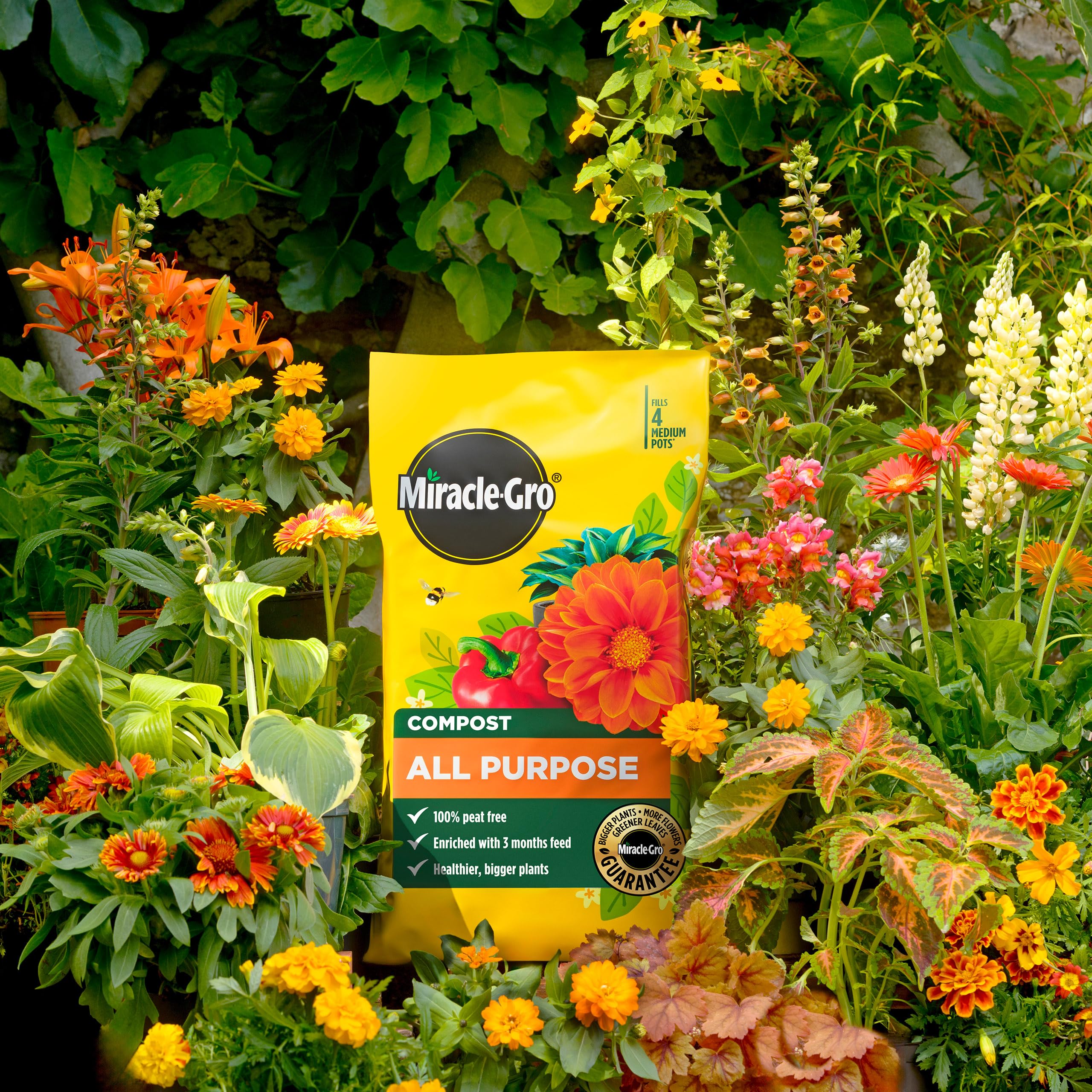 Miracle-Gro® Peat Free Premium All Purpose Compost 10 litres — view 3