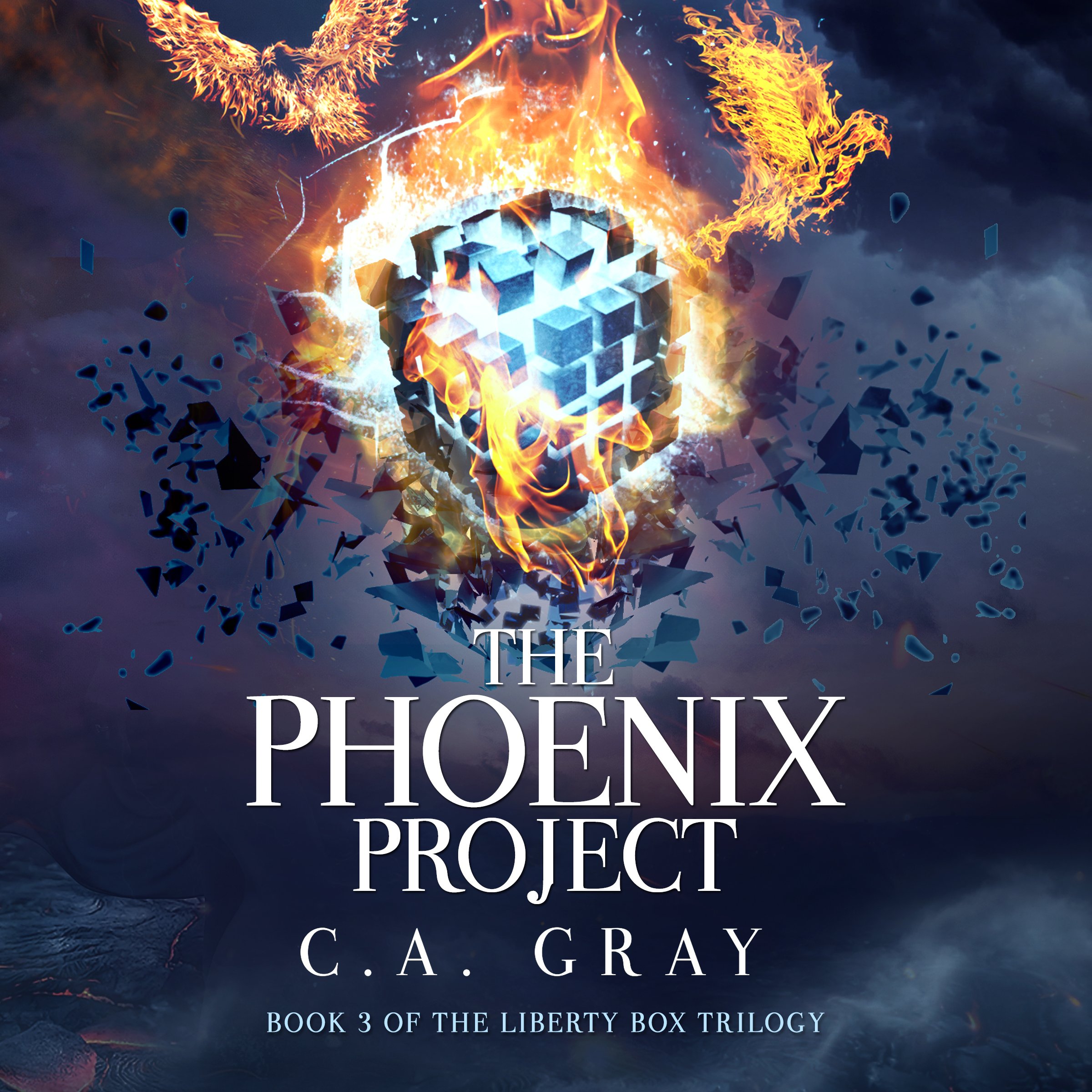 Cover art for The Phoenix Project