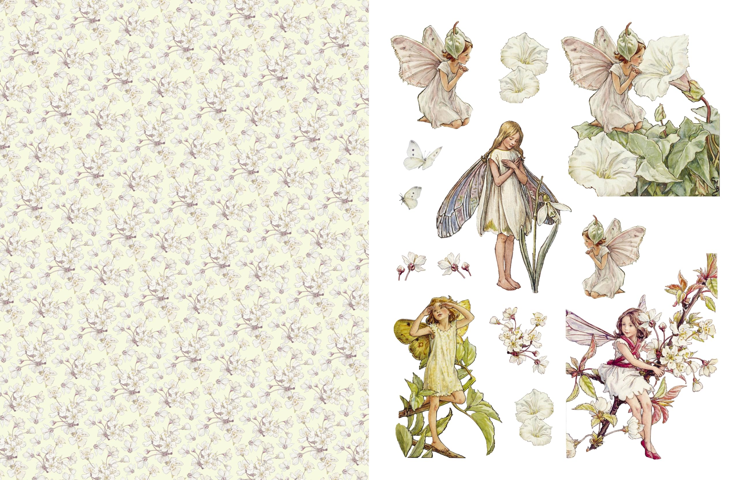 Cut Out and Collage Flower Fairies: Cut Out and Keep Flower Fairies for Arts and Craft