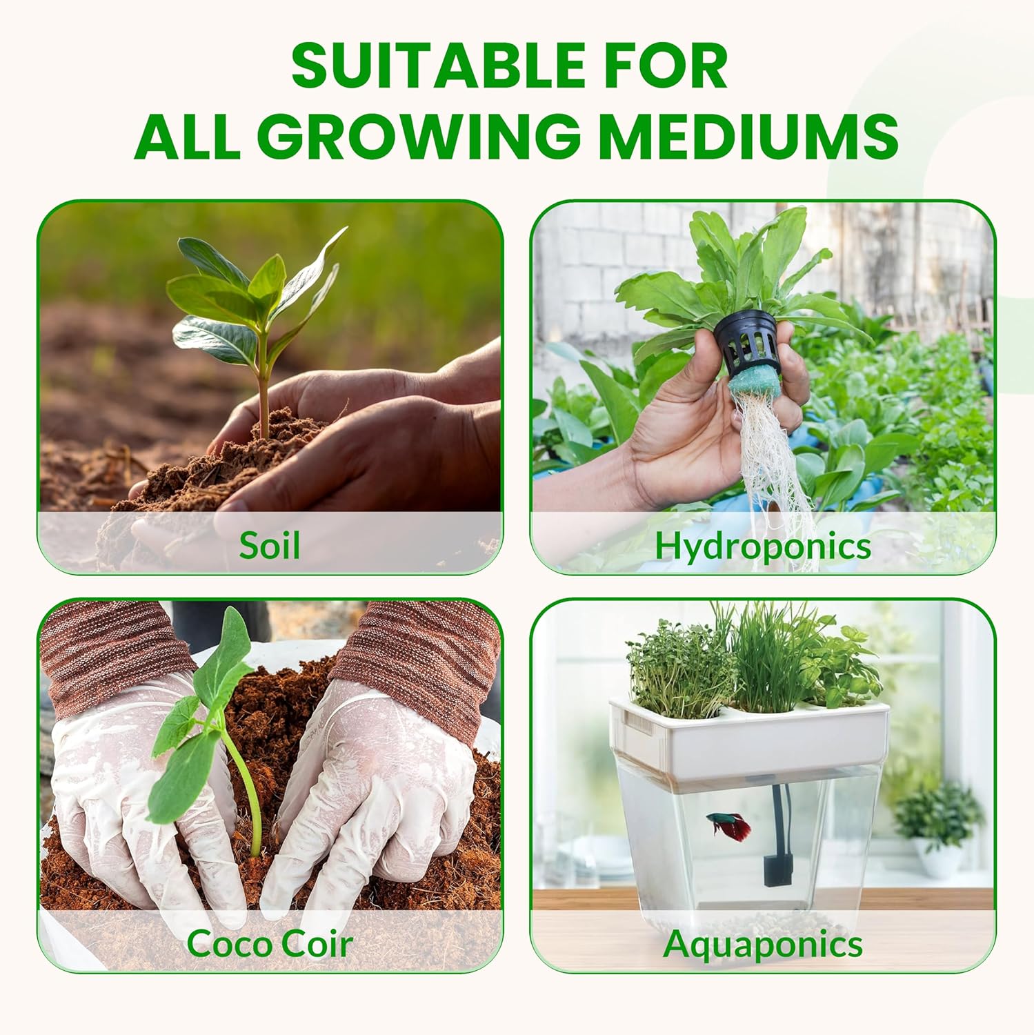 Humboldts Secret Everything Growing 20-20-20 Fertilizer | All Purpose Water Soluble Plant Food | Balanced NPK with Norwegian Kelp | for Lawns Gardens, Vegetables, Flowers & Indoor Plants | 10 lb