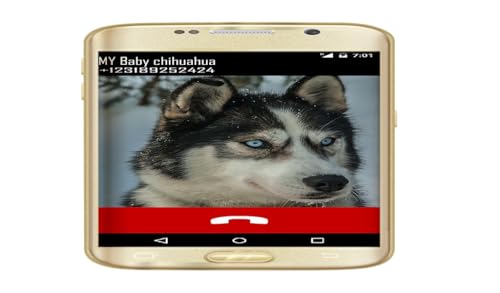 Fake Call From Your Husky Dog, Puppy Calling Prank for Siberian Huskies Dogs Lovers and Pet Owner -