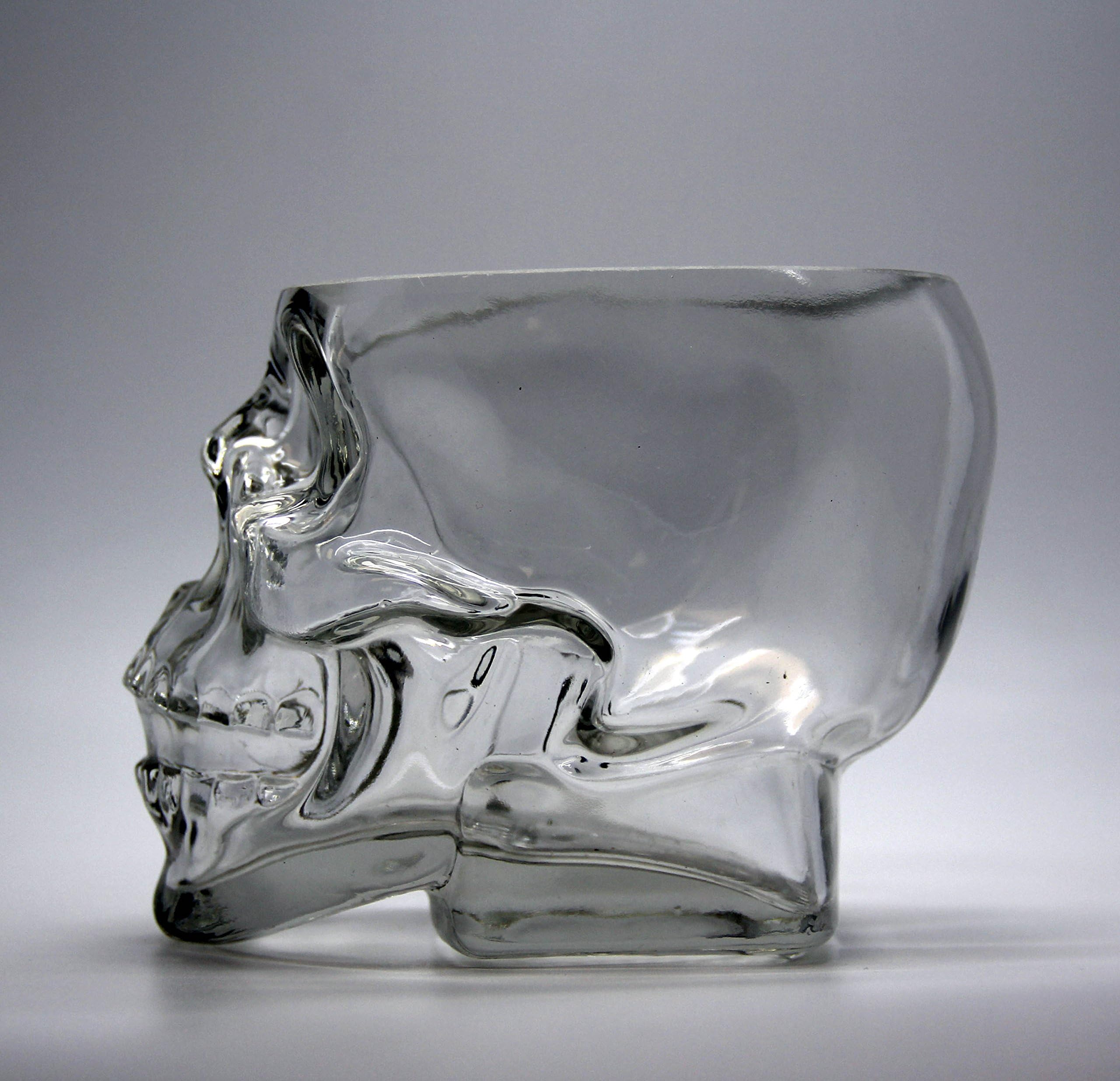 GiftImpact Skull Drinking Glass Mug, 10 oz