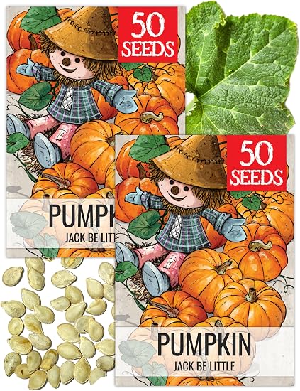 Seed Needs Jack Be Little Pumpkin Seeds