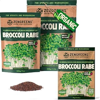 ZenGreens® - EKO Stem Cabbage Seeds - Choose from 10, 200 g and 500 g - Stems Cabbage Seeds with a germination rate of over 97 Percent - GERMINATION OF STALK KULF SEEDS - Microgreens